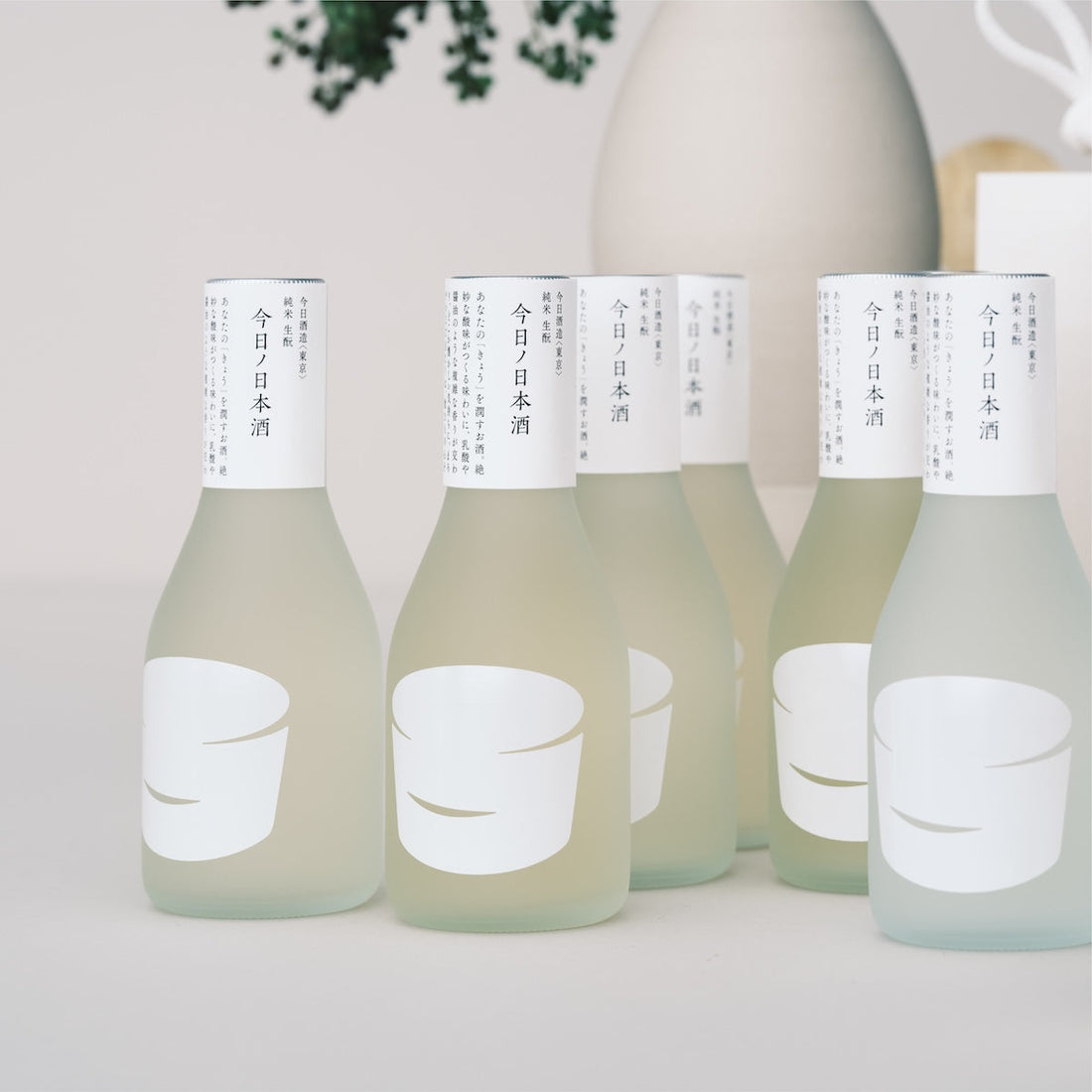 今季の12本セット〈春から夏〉